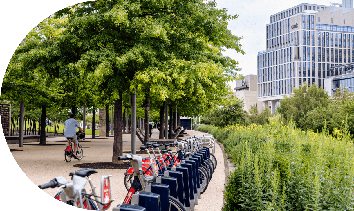 The Transformation Image