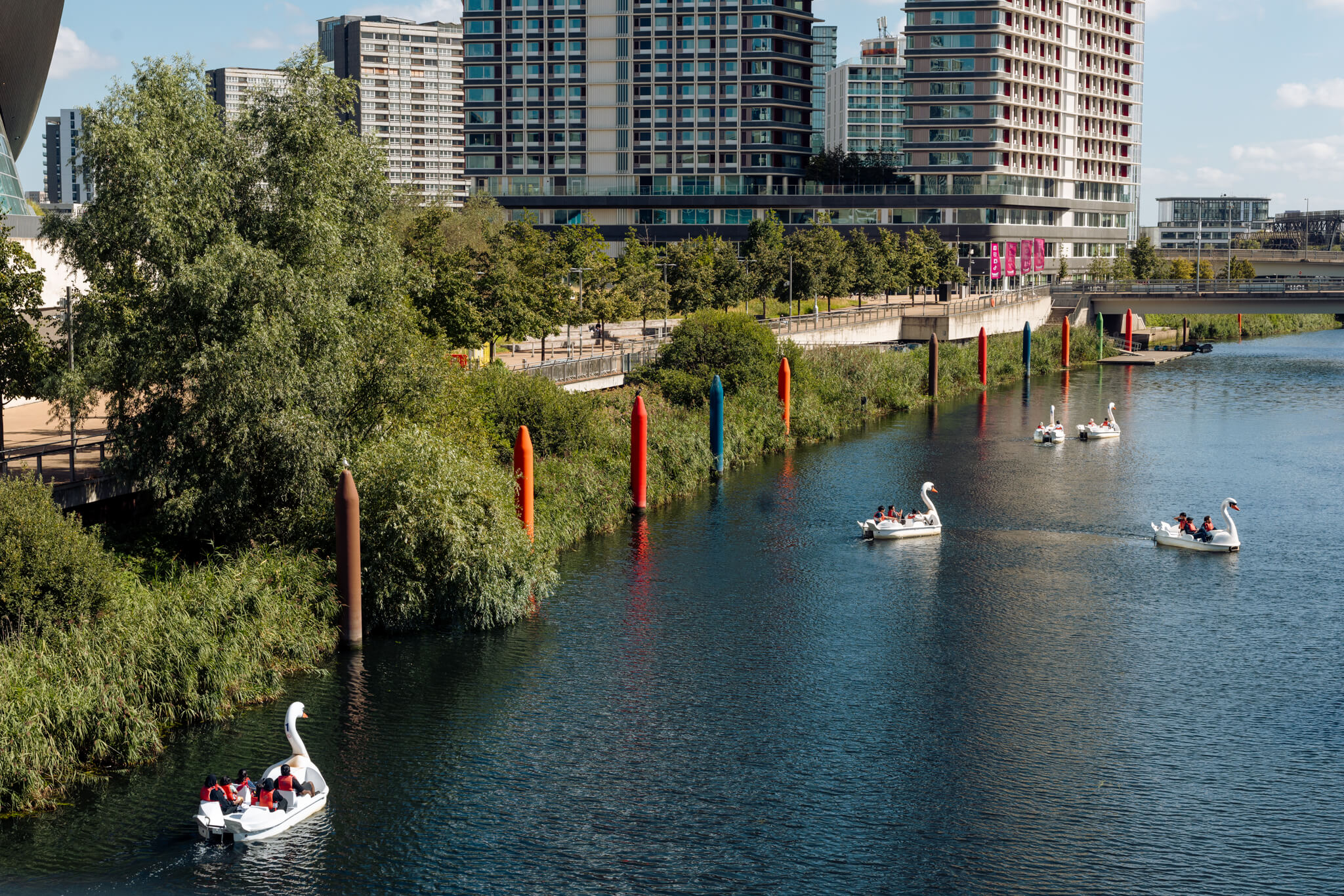 Swan pedalos on the river