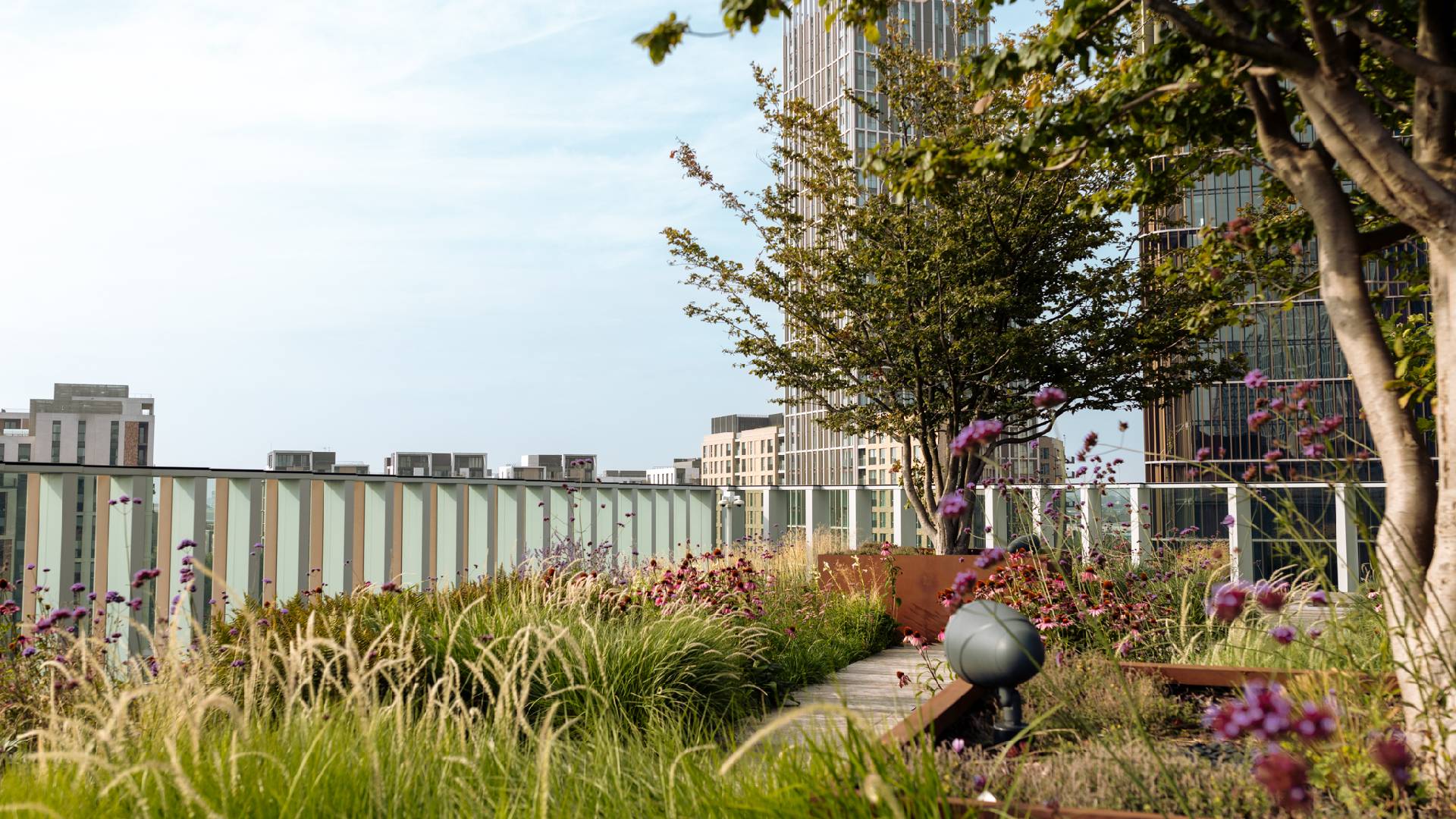 transform carousel 3 1920x1080.jpg