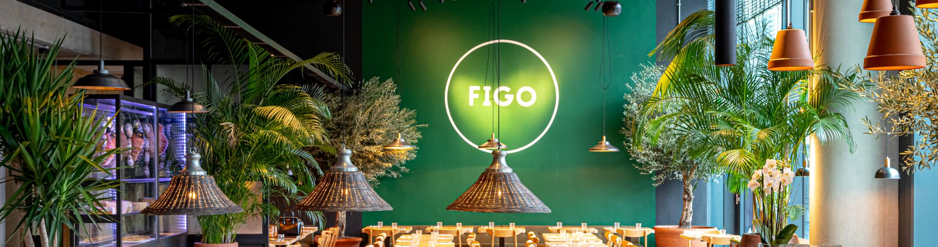 Figo 1900x500.jpg